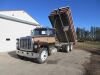 *1976 Ford LT9000 T/A Grain truck - 14